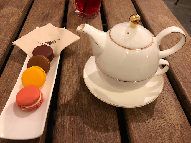 The M Plot Cafe - Hospitality and gastronomy