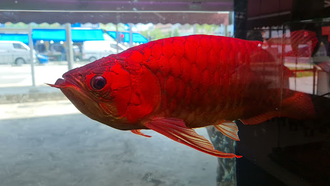 37 Jalan Peminpin, Mapex, #B1-02, 37 Jln Pemimpin, Singapore 577177