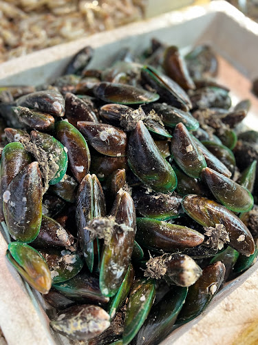 Panjangikan - Singapore