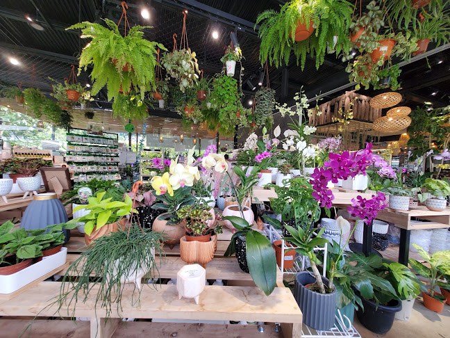 Canopy HortPark - Hospitality and gastronomy