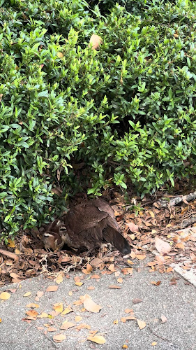 Simply Bread, Cluny Court - Singapore