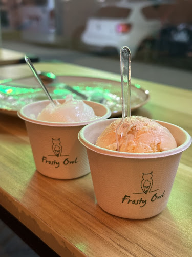 Comentarii opinii despre Frosty Owl