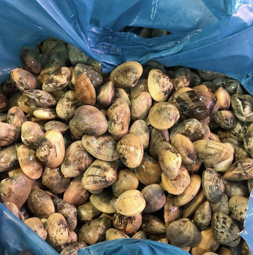 Comentarii opinii despre Ser Hor Seafood