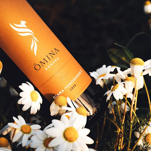 BoundbyWine - Hospitality and gastronomy