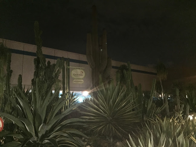 80 Airport Blvd., Singapore 819642