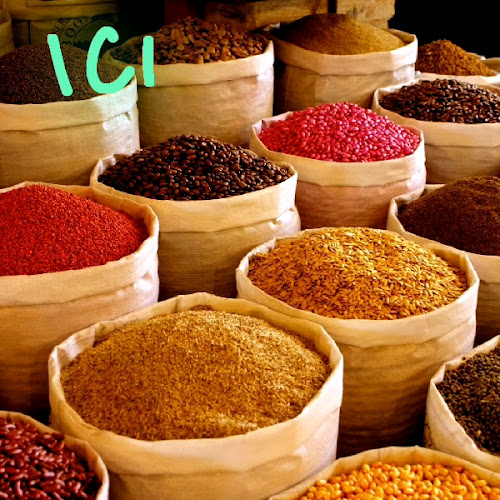 Indian Cooked Food Catering Service