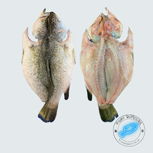 Fishy Rumours - Singapore