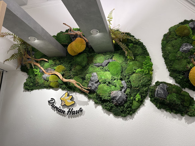 Durian Haus - Hospitality and gastronomy