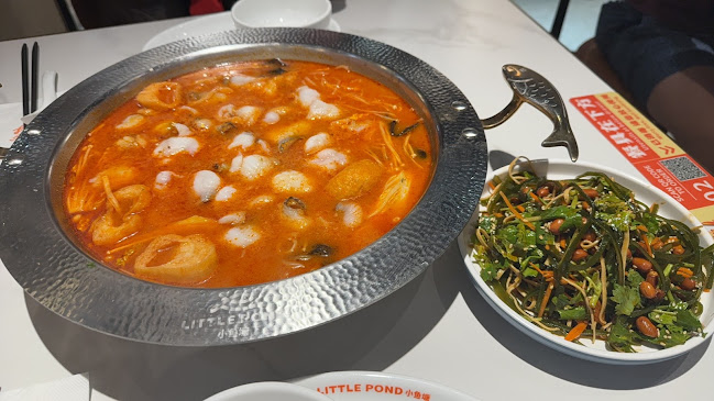 Comentarii opinii despre Little Pond 小鱼塘@Northpoint City