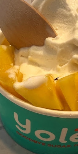 Yolé Plaza Singapura - Hospitality and gastronomy