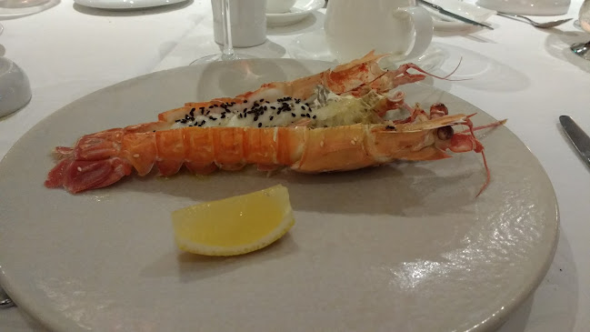 Buona Terra - Hospitality and gastronomy