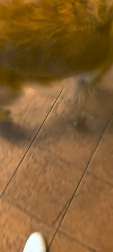 Candy's Viet Kitchen - Singapore