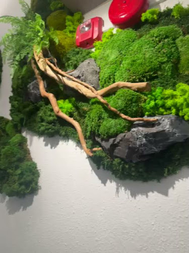 Opinii despre Durian Haus în Singapore - Hospitality and gastronomy