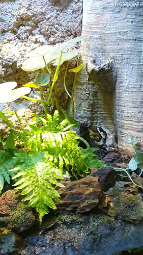 Opinii despre Inuka Café în Singapore - Hospitality and gastronomy