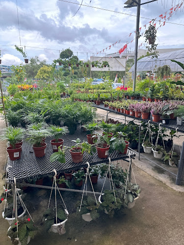 Weekenders Market - Hospitality and gastronomy