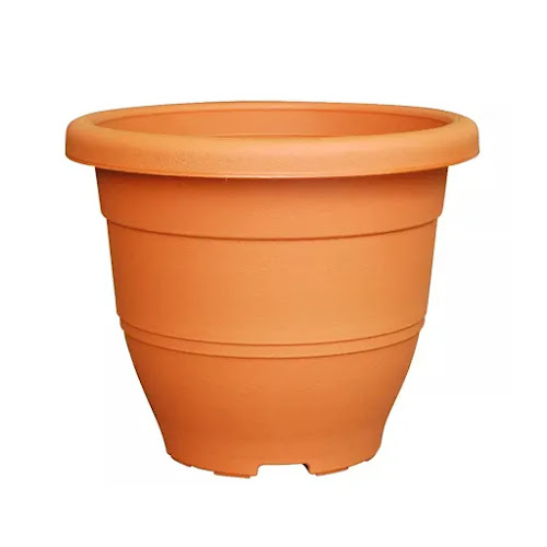 Opinii despre Ban Nee Chen Retail @ Chong Pang în Singapore - Hospitality and gastronomy