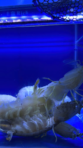 Opinii despre Happy Dining Seafood (喜来聚海鲜) în Singapore - Hospitality and gastronomy