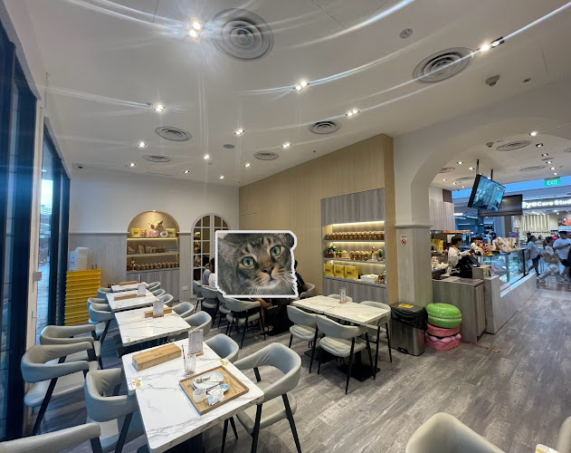 Kazo - Jurong Point - Hospitality and gastronomy