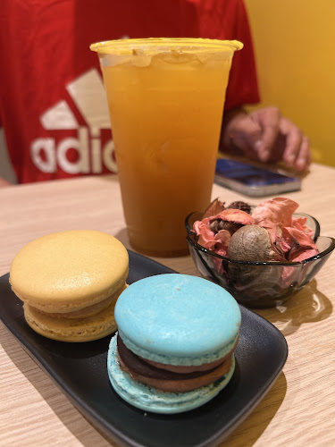 Cafe BomBom - Hospitality and gastronomy