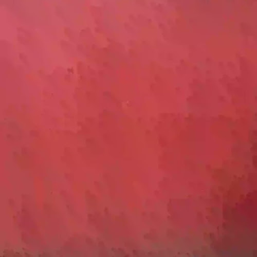 The Wired Monkey SG (The Hole) - Hospitality and gastronomy