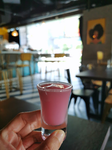 Comentarii opinii despre Tipsy Penguin