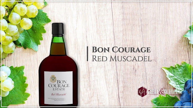 Wine Stop Warehouse - Hospitality and gastronomy