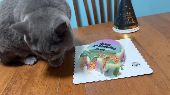 Comentarii opinii despre Feed My Paws