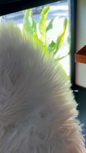 20grams Coffee Roastery - Hospitality and gastronomy