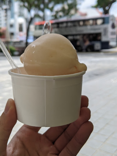 Sugartree Gelato - Hospitality and gastronomy