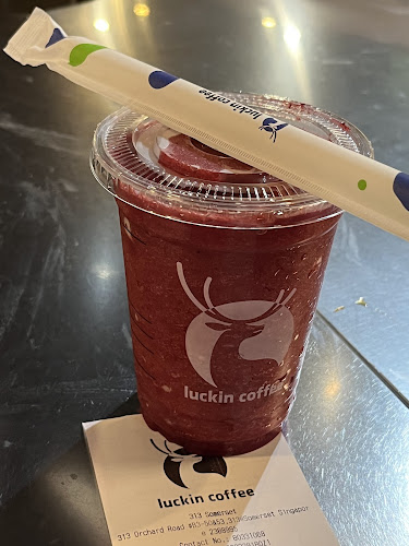 313 Orchard Rd, B3-50&53 313@Somerset, Singapore 238895