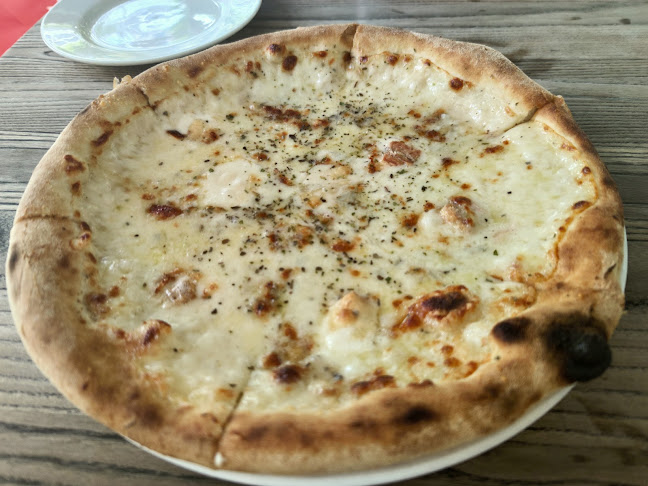 Comentarii opinii despre Cibo Italiano