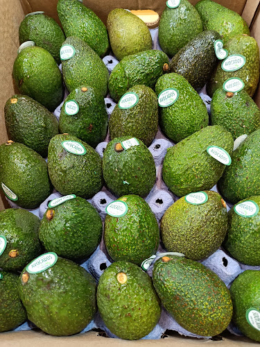 Opinii despre Soon Fruit Supplier în Singapore - Hospitality and gastronomy