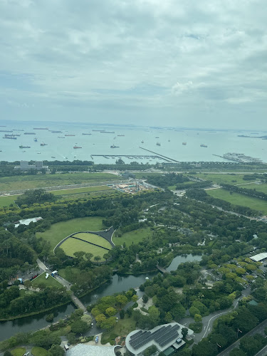 Comentarii opinii despre LAVO Italian Restaurant And Rooftop Bar