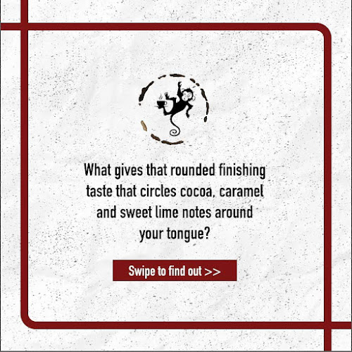 The Wired Monkey SG (The Hole)