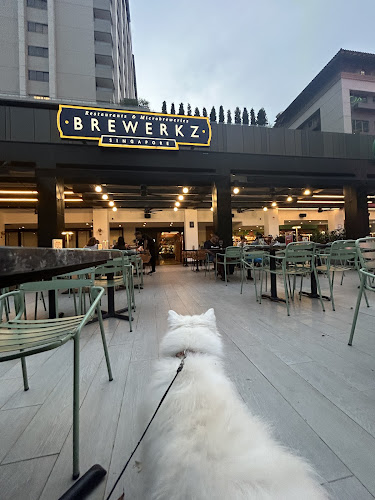 Brewerkz Orchard Rendezvous Hotel - Hospitality and gastronomy