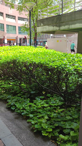 Comentarii opinii despre Barcook Bakery