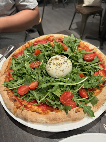 Cibo Italiano - Hospitality and gastronomy