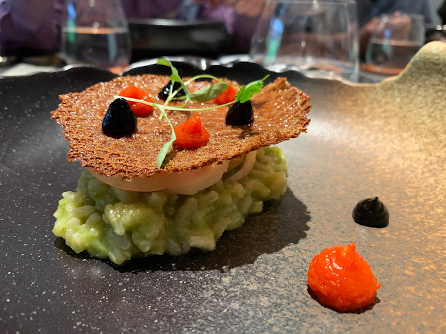 Comentarii opinii despre Sonder