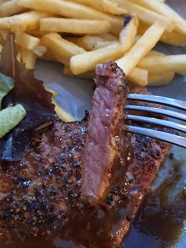 Comentarii opinii despre Lazy Lizard - NEWest