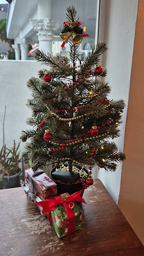 Comentarii opinii despre South Union Park