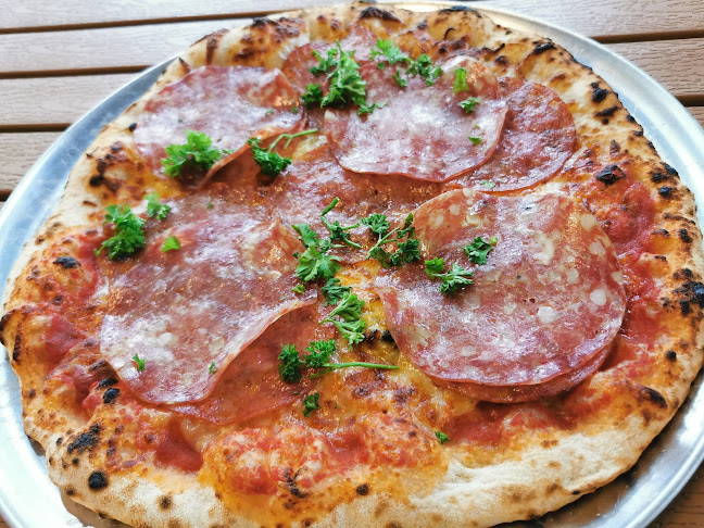 Comentarii opinii despre Wild Amber