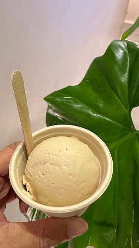 Birds of Paradise Gelato Boutique (Craig) - Hospitality and gastronomy