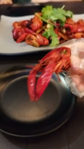 Comentarii opinii despre 不饿不坐