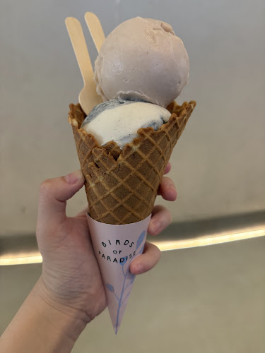 Birds of Paradise Gelato Boutique (Craig)