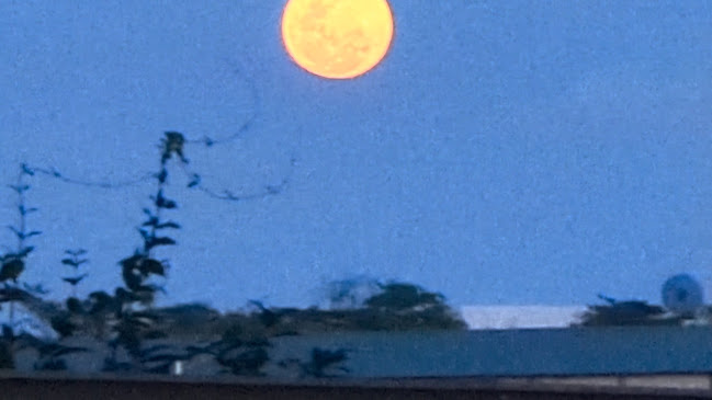 Gourmet Express Food House Pte Ltd - Singapore