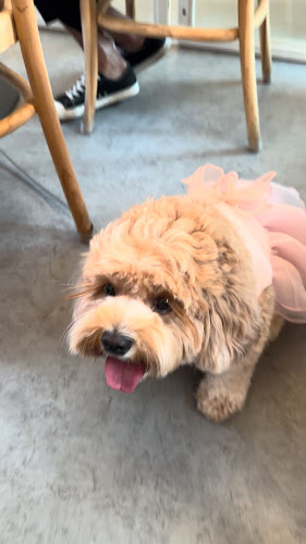 MOD CAFE - Singapore