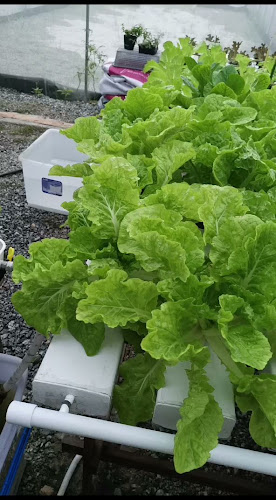 Comentarii opinii despre Punggol East Container Park