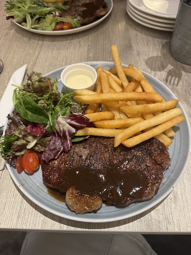 Lazy Lizard - NEWest - Singapore