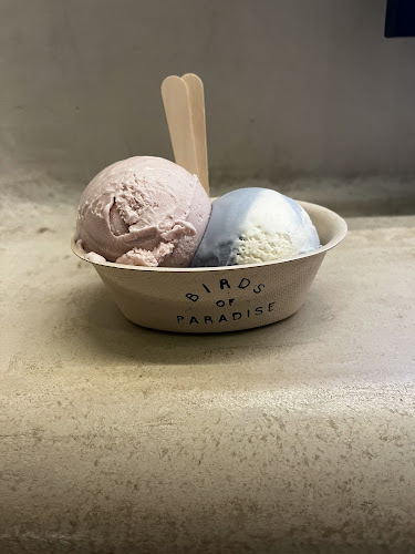 Comentarii opinii despre Birds of Paradise Gelato Boutique (Craig)