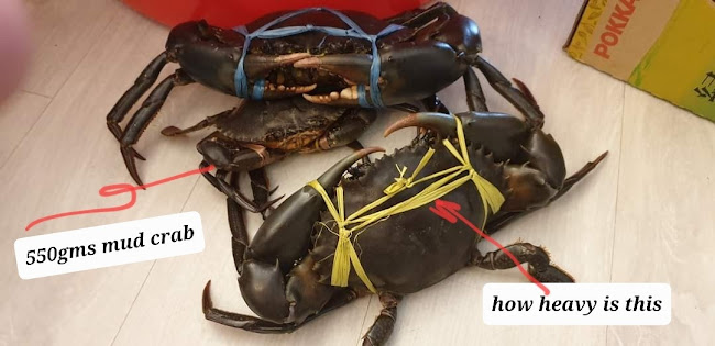 M1 Crab AMK - Singapore